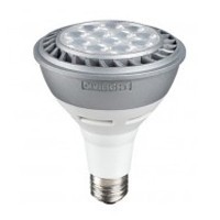 LED PAR30 Long