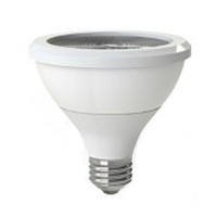 LED PAR30 Short