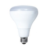 LED BR & R Lamps