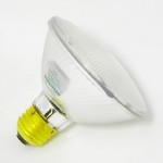 60PAR30/HAL/S/SP10 120V