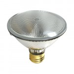 60PAR30/FL30/120V